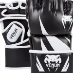 Migliori guanti da MMA