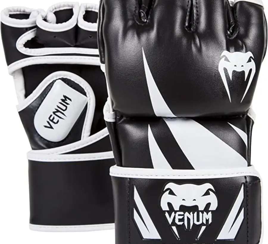 Migliori guanti da MMA