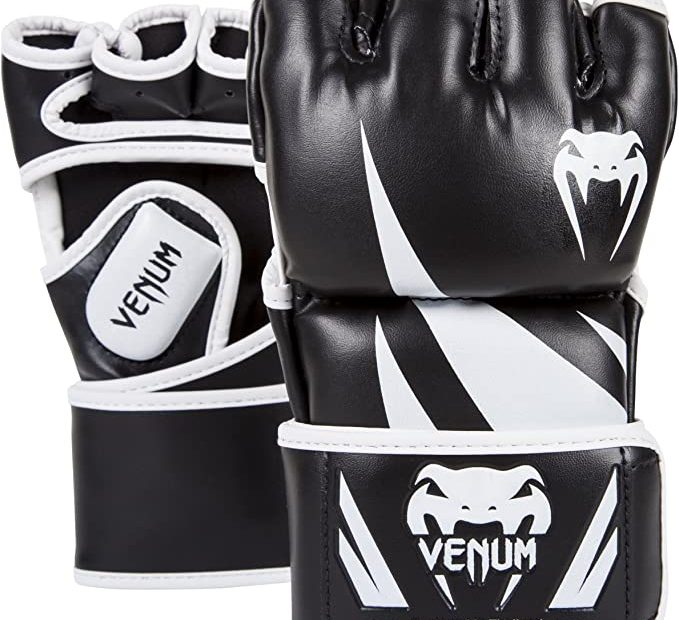 Migliori guanti da MMA