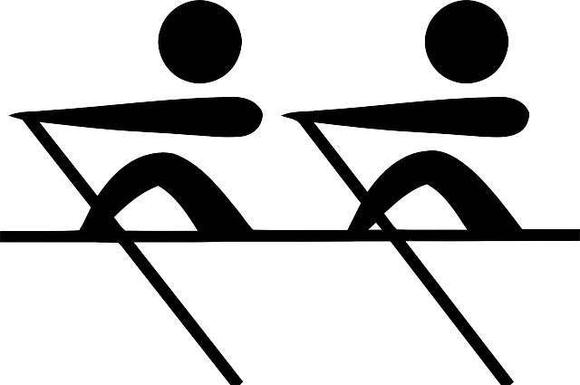 Miglior Vogatore da casa