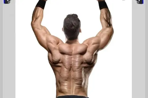 Migliore sbarra per trazioni